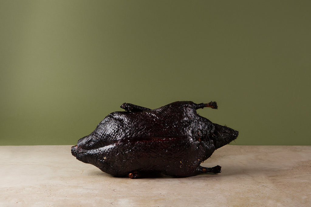 Aged Great Ocean duck