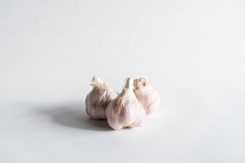 Fresh Garlic bulbs